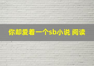 你却爱着一个sb小说 阅读